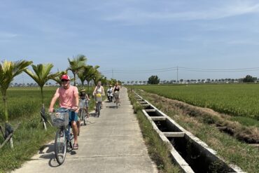 Eco-Friendly Bicycle Tours